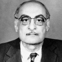 حسين مجيب المصري